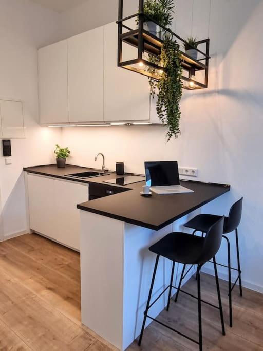 Modernes Apartment คาร์ลสรูเฮอ ภายนอก รูปภาพ